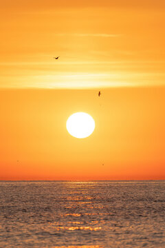 Vertical view of bright glowing sun rising over ocean with birds flying under orange sky