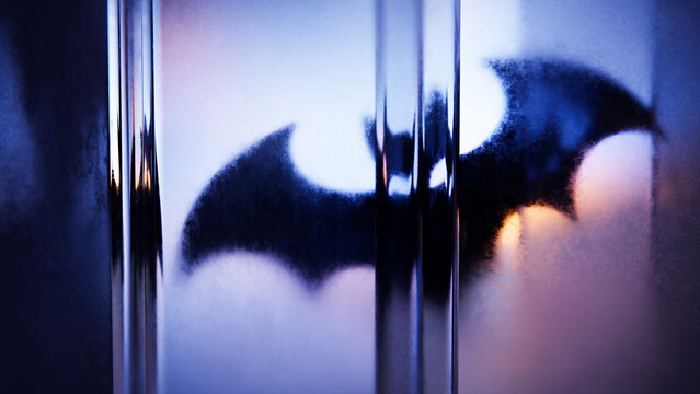 Dark Halloween bat silhouette refracted behind vertical glass panels.