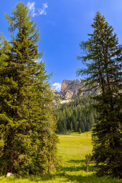 Blick &uuml;ber die Wurzeralm auf die Rote Wand, &Ouml;sterreich