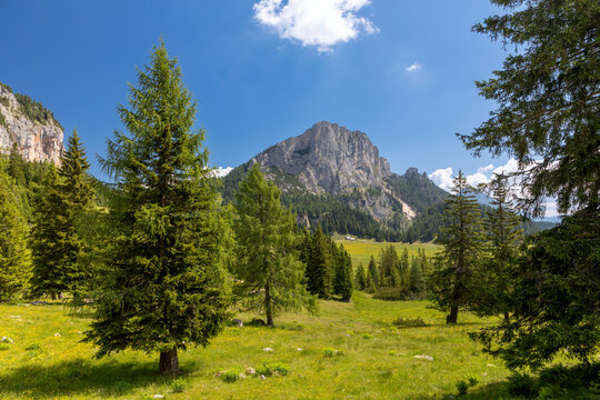 Blick auf den Stubwieswipfel auf der Wurzeralm, &Ouml;sterreich