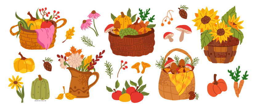 Basket of autumn harvest with fresh apples, mushrooms and orange pumpkins. Wicker container icon with fall fruits, vegetables and colorful leaves for grocery shop vector illustration.