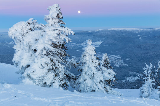 Germany, Bavaria, Moonrise on summit of mountain at Bavarian Forest