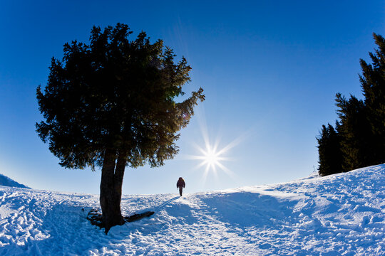 Germany, Bavaria, Blomberg, Woman hiking on top of Zwiesel mountain