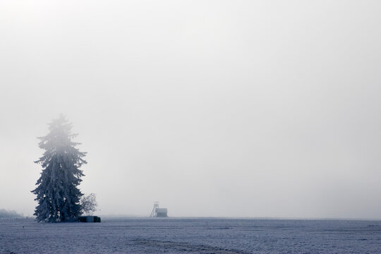 Germany, Bavaria, Murnau, Misty landsxape