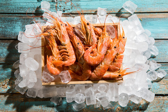 Argentine red shrimps on ice