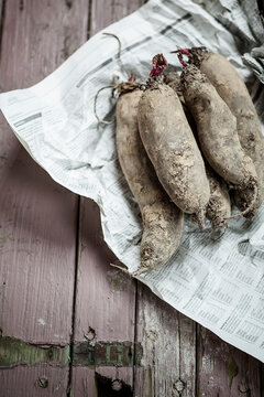Cylindrical beetroots on newsprint and wood