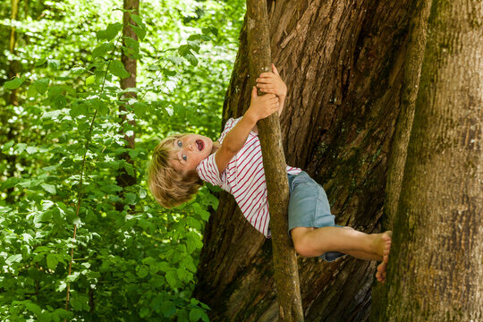 Little boy climbing on a tree