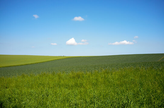 Germany, Schleswig Holstein, View of grassland