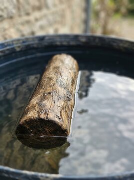 A solitary weathered log floating gracefully in a serene basin of clear water