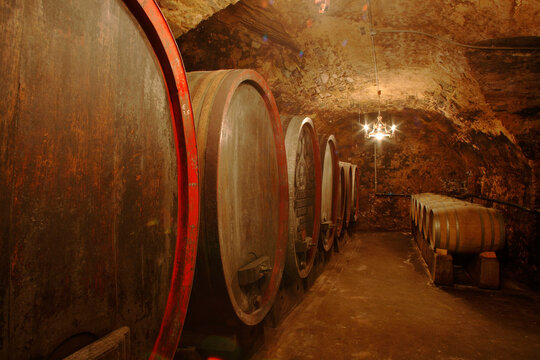 Wine casks in cellar