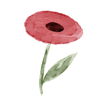 red rose petals, red flowers, red iris flower, watercolor of red wildflowers, PNG Illustration, watercolor flower, watercolor illustration, watercolor style of a red flowers