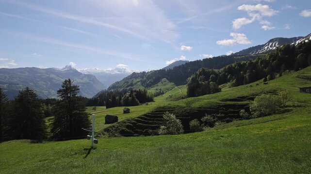 View of the lush green meadows and pine trees surrounding the Stoosbahnen funicular area in the Swiss Alps, Schwyz, Schwyz, Switzerland.
