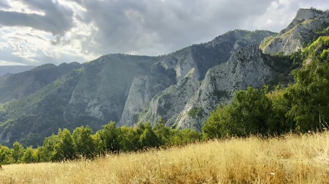 Scenic view of a golden grassy meadow and green trees below the spectacular rugged limestone cliffs of the Scarita-Belioara nature reserve in the Apuseni Mountains, Romania, under a cloudy sky.