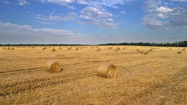 Low aerial glide passes beside large sunlit straw rolls scattered over cut cereal stubble with crisp shadows golden texture and rows of distant bales beneath a bright cloud patterned sky