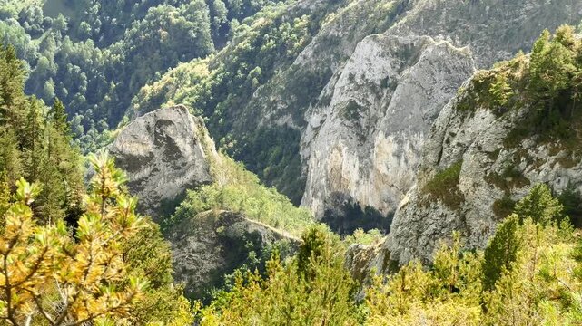 High angle scenic view of a deep, dramatic mountain gorge surrounded by massive, rugged limestone cliffs and dense green forests in the Scarita-Belioara nature reserve, Romania