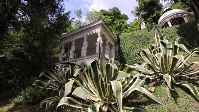 View of variegated agave plants in the lush gardens of Parco Scherrer in Morcote, Ticino, Switzerland.