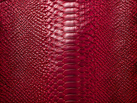Close-up texture of shiny red python snakeskin with detailed scales and natural pattern