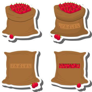 Big vegetable set from tasty red radish in large textured sacks