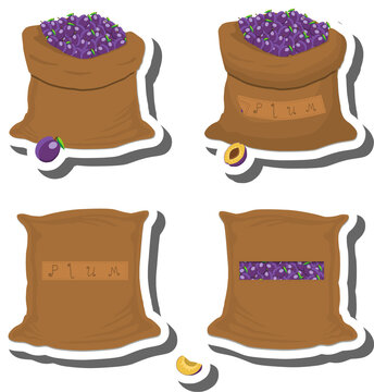 Big fruit set from tasty plum in large textured sacks