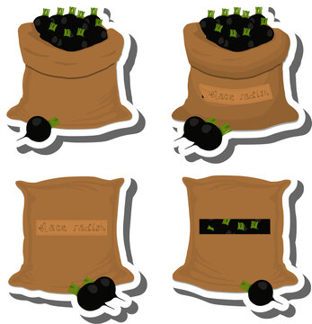 Big vegetable set from tasty black radish in large textured sacks