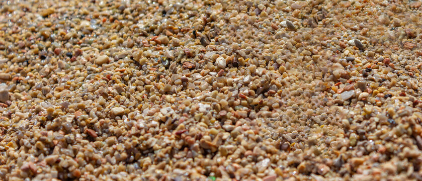 Wide panoramic close-up of fine beach pebbles forming a natural coastal texture with shallow depth of field and large copy space for design backgrounds