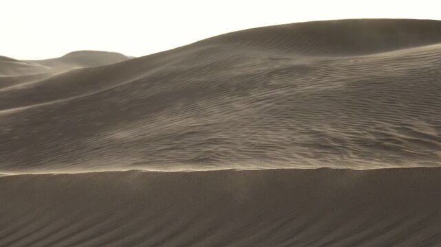 View of Sahara Desert sand dunes with wind-swept patterns and soft golden light in Morocco.