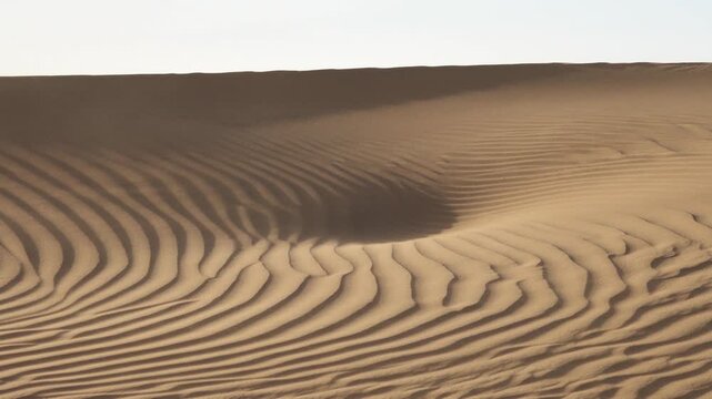 View of wind-swept sand dunes in the Sahara Desert, showcasing intricate ripple patterns across the vast landscape in Morocco.