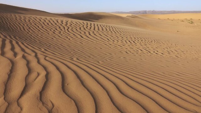 View of wind-swept sand dunes in the Sahara Desert, showcasing intricate ripple patterns across the vast arid landscape under a clear sky in Morocco.