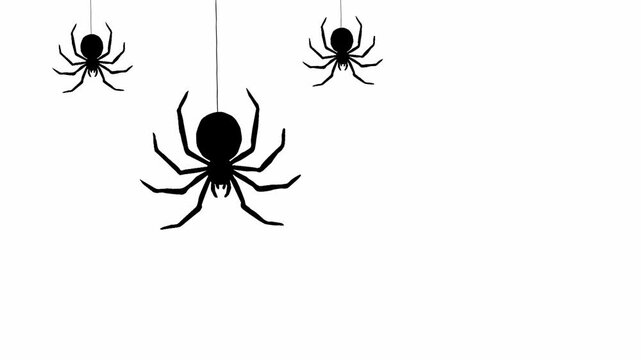 Black Spider Silhouettes Hanging on White Background Seamless Loop