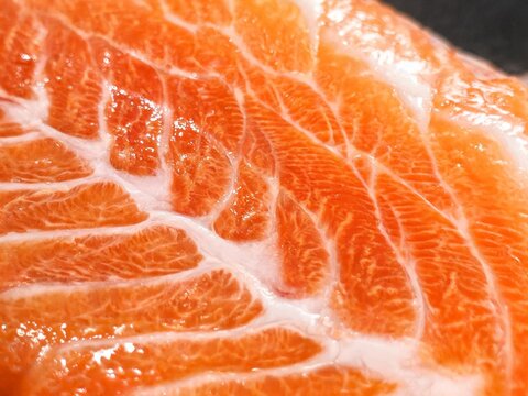 Extreme macro shot of fresh salmon fillet showing fat marbling