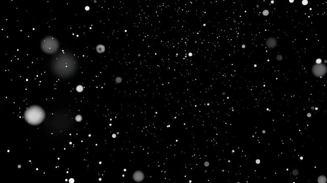 Falling Snow Particles on Black Background