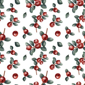 seamless background with red watercolor cranberries on white background 