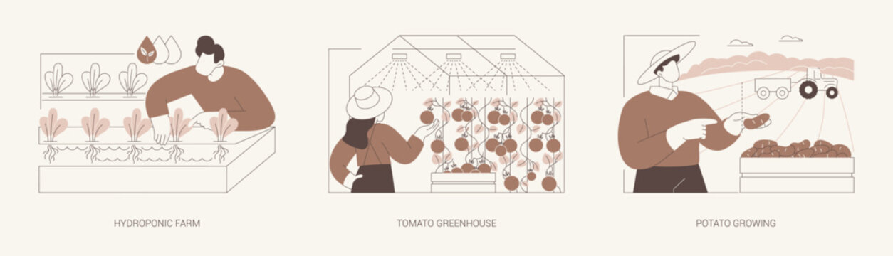 Vegetable industry isolated cartoon vector illustrations se