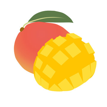 vector illustration of mango
