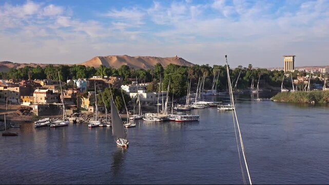 View of traditional felucca boats sailing on the Nile River with historic buildings and palm trees along the riverbank in Aswan, Aswan Governorate, Egypt.