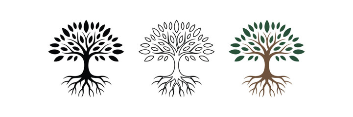 Naklejka premium knowledge tree symbols set, botanical roots branches and leaves with three minimal icon styles, black silhouette outline and colored vector illustration