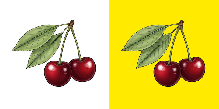 Two Ripe Red Cherries with Green Leaves png