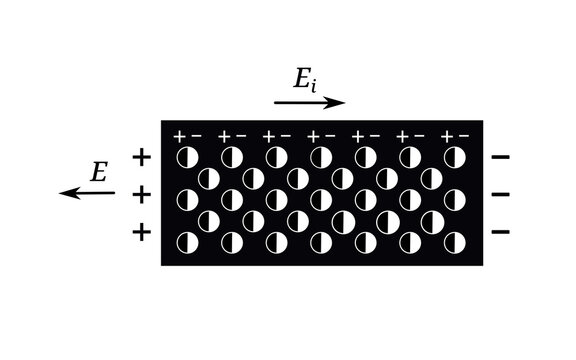 Diagram showing polarization of a homogeneous nonpolar dielectric placed in a uniform electric field, where induced dipoles align with the external field and bound charges appear on opposite surfaces.