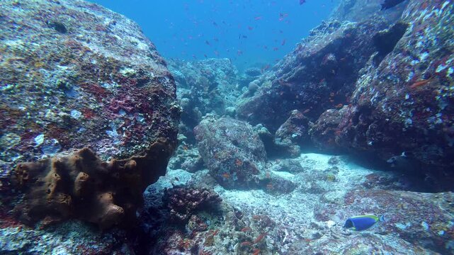 Weh Island, Indonesia : Footage of coral and underwater big rocks during diving in famous site of Arus Balee in Weh Island, Sabang of Aceh, Indonesia. With forward motion revealing a diver behind the 