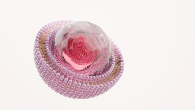 pink liposome sphere showing active nutrient skin ingredient 3d render