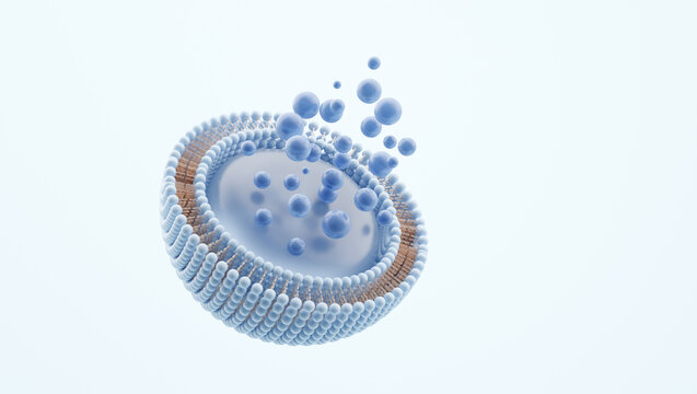 blue liposome cross section showing active molecule release 3d render