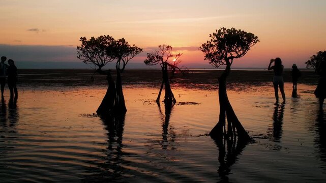 View of Pantai Walakiri with silhouetted mangrove trees in shallow water during golden hour with people walking in the distance in Pandawai, East Nusa Tenggara, Indonesia.