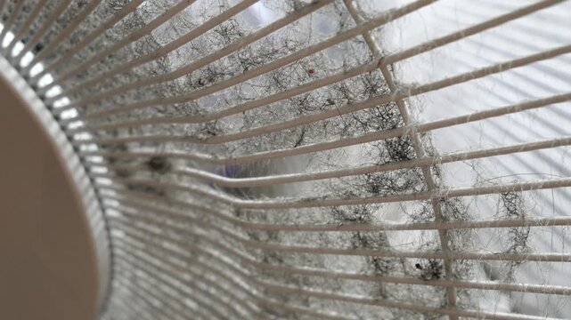 Pet Hair Clogging Electric Fan Grille, Household Cleaning and Maintenance Problem with Pets