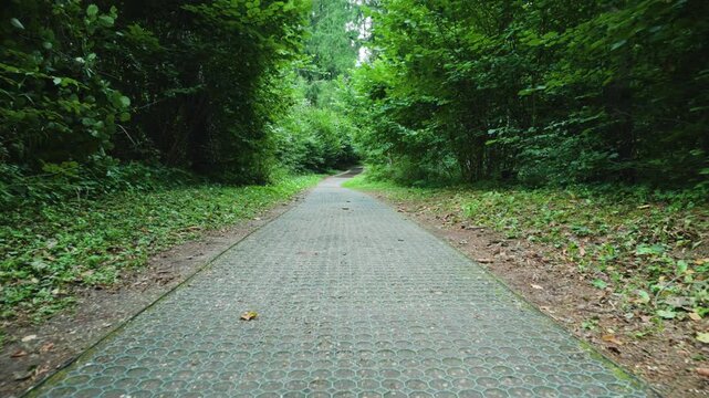 Low angle forward movement along paved path in green forest