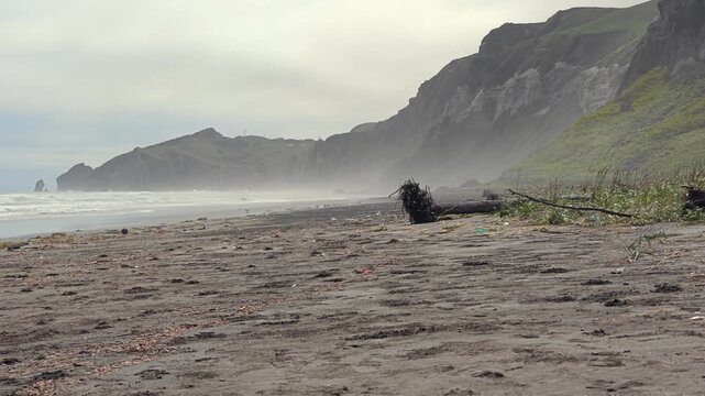 流木が打ち上げられている荒れた海の風景。