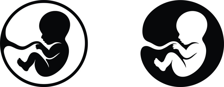 Fetus in womb silhouette during development as healthcare and life concept in simple graphic style