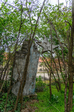 Toppled communist monument with concrete star lying overgrown among spring trees