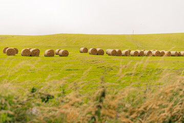 Round hay bales scattered across a lush green field, with rolling hills creating a scenic rural landscape typical of the Irish countryside - Ireland - 31 August 2026. © IBRESTER