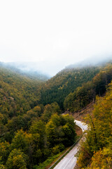 Naklejka premium Aerial view of a winding mountain road surrounded by dense autumn forest covered with mist and fog