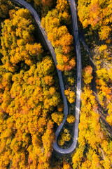 Naklejka premium Drone perspective of a winding serpentine forest road during peak autumn foliage season
